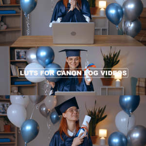 Professional LUTs for Canon Log Videos