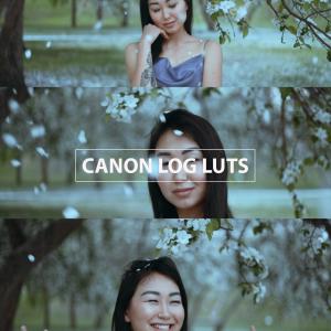 Professional LUTs for Canon Log Videos