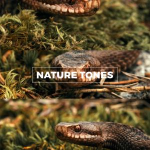 Nature Looks Professional Zcam E2 LUTs