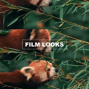 Professional Zcam E2 LUTs