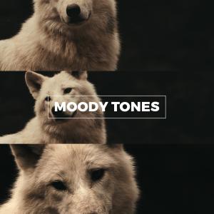 Moody Tones for Zcam E2 LUTs