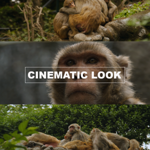 LUTs Film Professional Tones for Red Cameras R3D Ipp2 Workflow