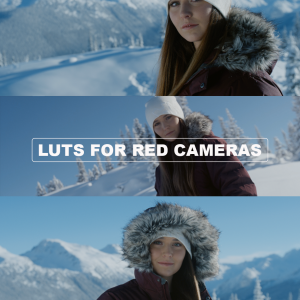 LUTs for Red Cameras R3D Ipp2 Workflow