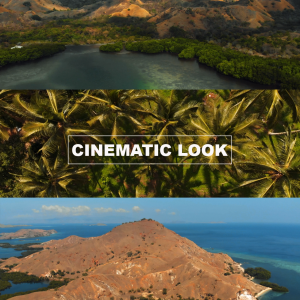 Film Look Tropical Tones Drone LUTs – DJI