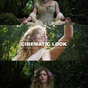 LUTs Film Professional Tones for Red Cameras R3D Ipp2 Workflow